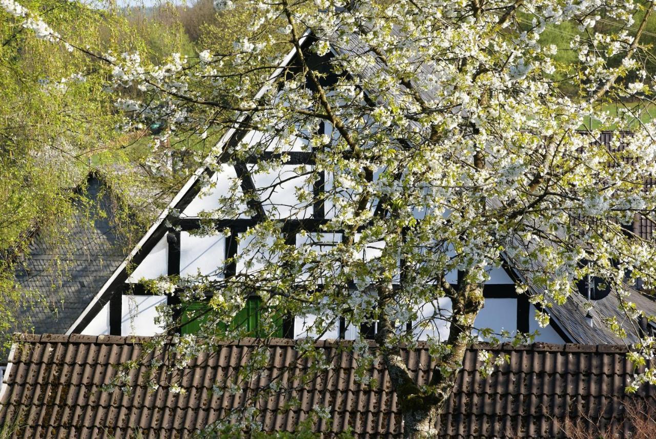 Gasthof Schumacher Hotel Garni Freudenberg  Exterior photo